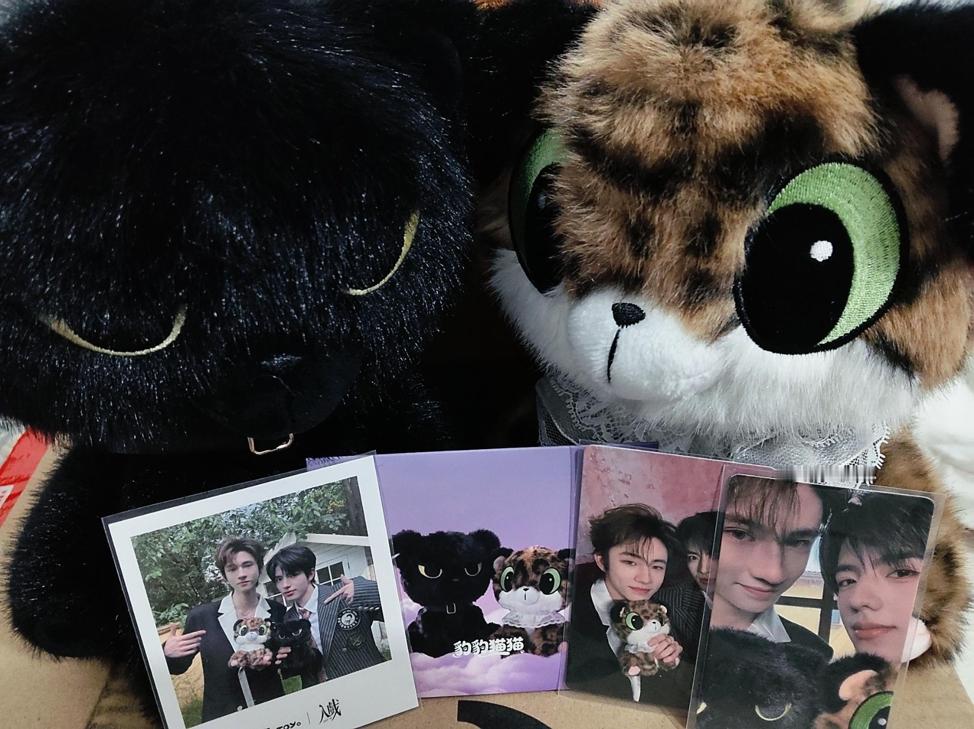 天定良元豹豹猫猫第一份已集齐！ 