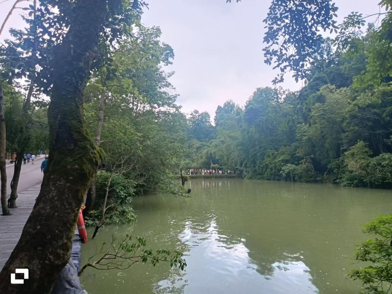 宋·苏轼
东风未肯入东门，
走马还寻去岁村。
人似秋鸿来有信，
事如春梦了无痕。