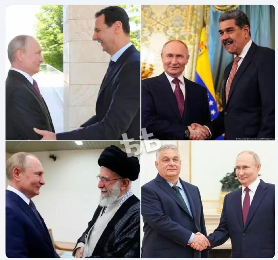 一双有魔力的手