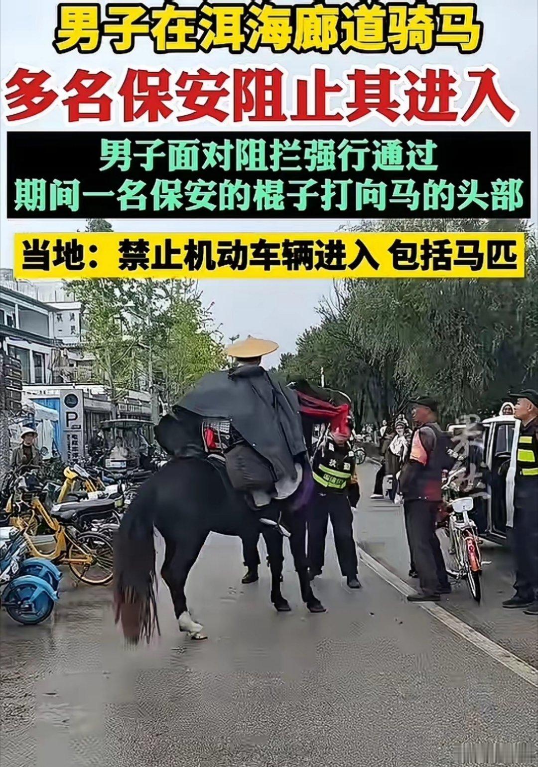官方回应网红骑马强闯洱海廊道这网红还活在自己的江湖梦里，真当自己是骑马闯江湖、替
