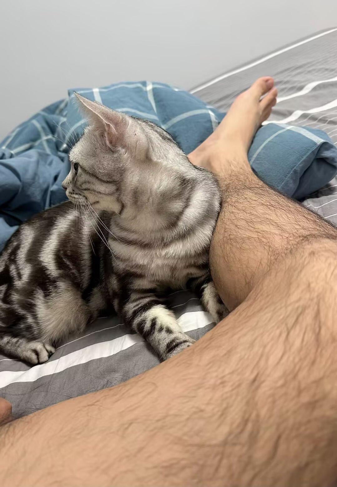 在这寒冷的季节，没有人陪伴，只有你给我温暖，陪伴我，给我一丝暖意！
谢谢你，不嫌