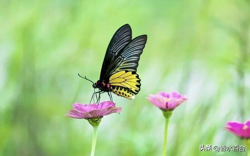 美方的全球安全警告是因为美以对伊朗的袭击，引发中东乱像，波及全球能源、经济。
这