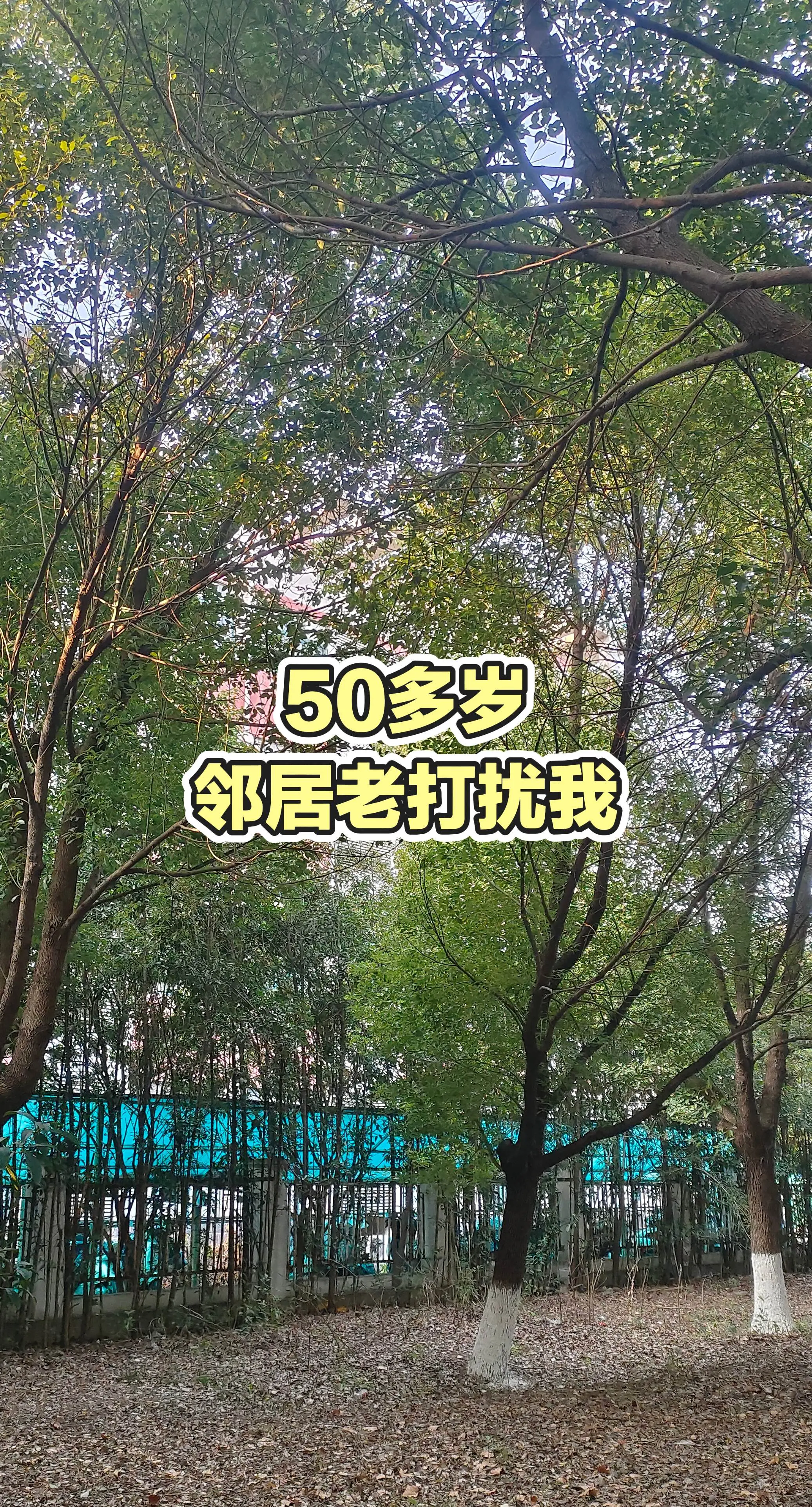 每日更新