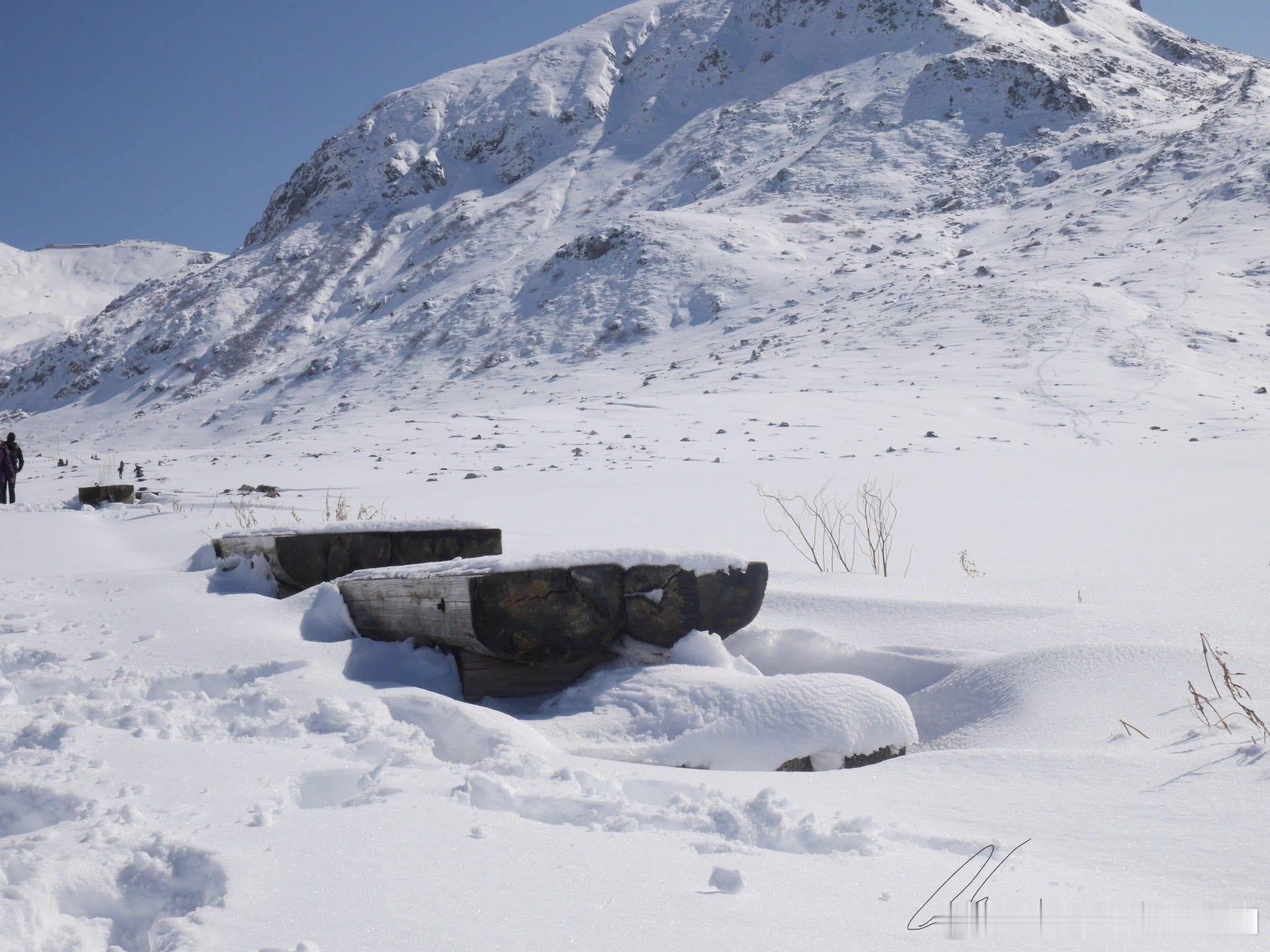 老子从万物蓬勤的生长中，看出了往复循环的道理（“万物并作，吾以观复”），他认为纷