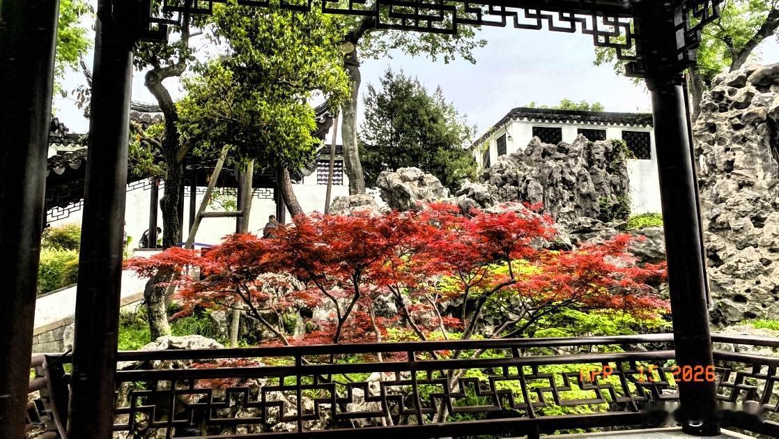 很罕见地看到一对新人，选择在环秀山庄拍婚纱照，那是对假山叠石艺术独有情钟啊。