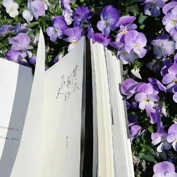 𝑾𝒆𝑪𝒉𝒂𝒕｜氛围感女头｜审美积累｜优质女生头像｜高清无水印 丨适配