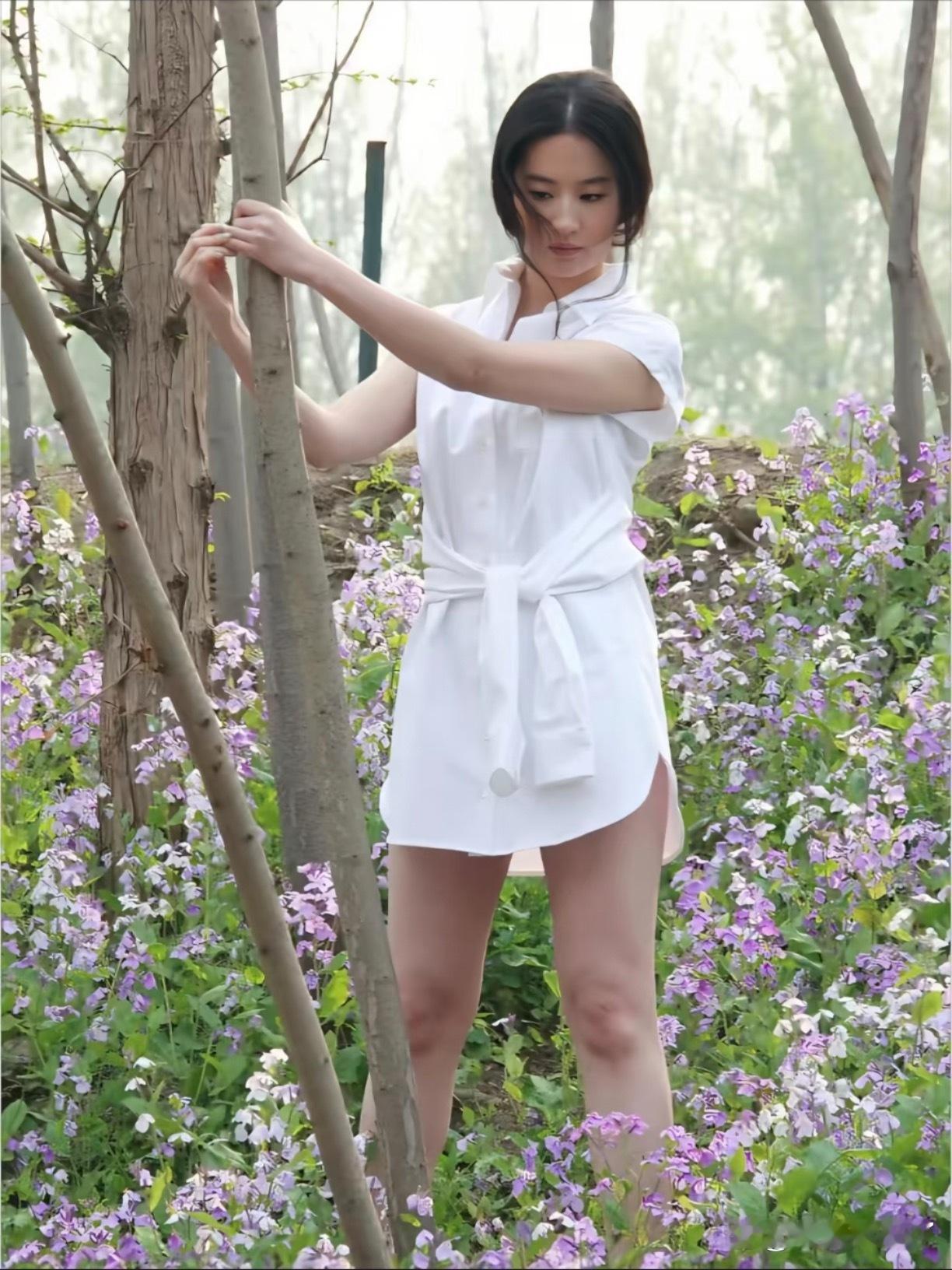 刘亦菲早期。 