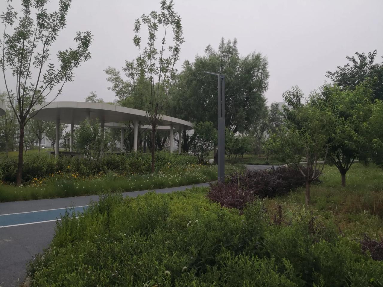 北京昨天下了点雨，今天早晨天气特别凉爽。我早晨起来，出了惠博嘉园沿着双清路往北走