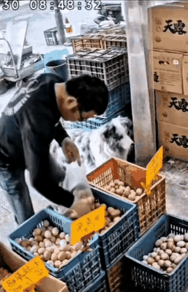 男子在店铺里买鸡蛋，挑了一袋子鸡蛋让老板称重，就在这时，男子的举动让人大开眼界。