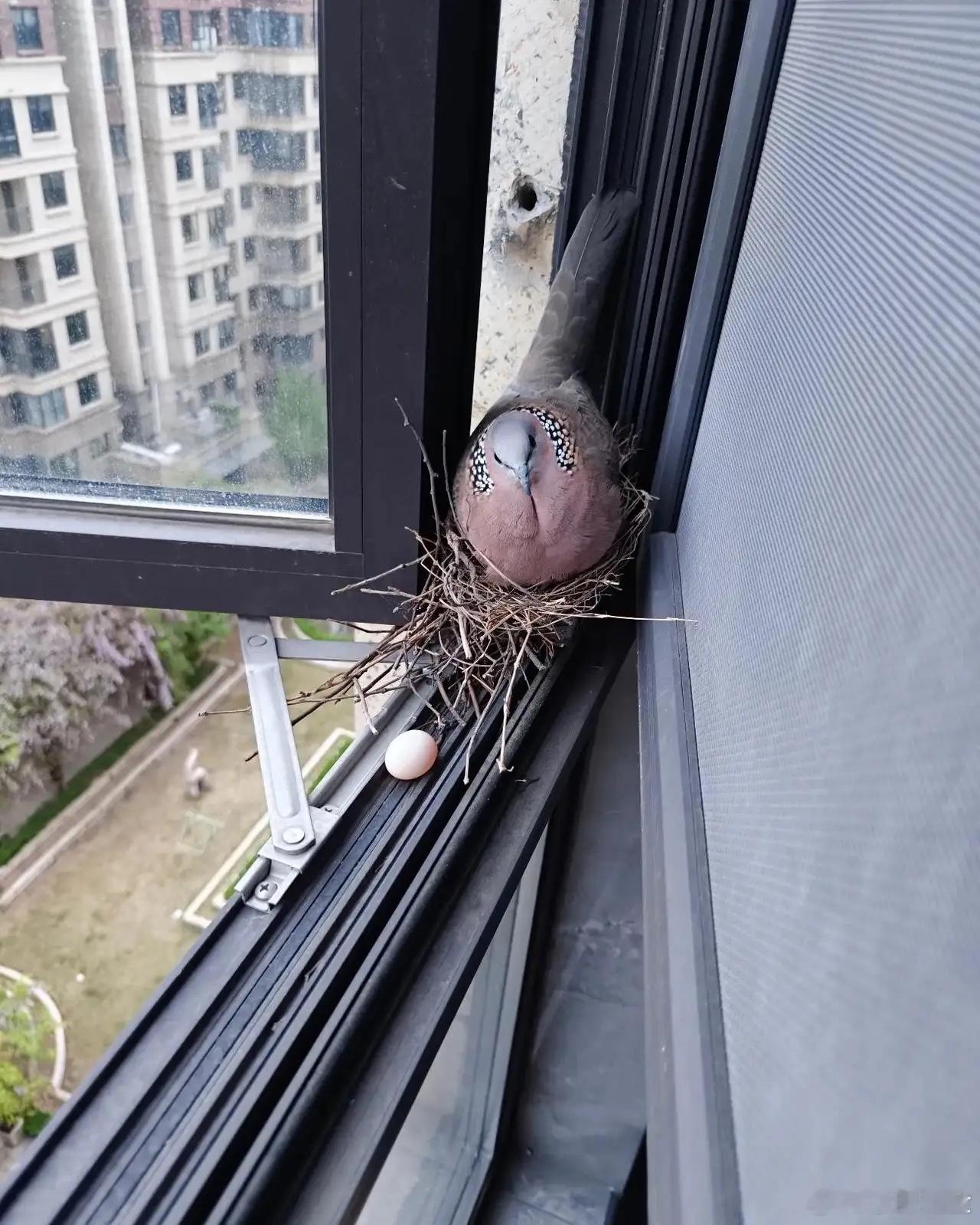 碰这种情况你怎么处理 