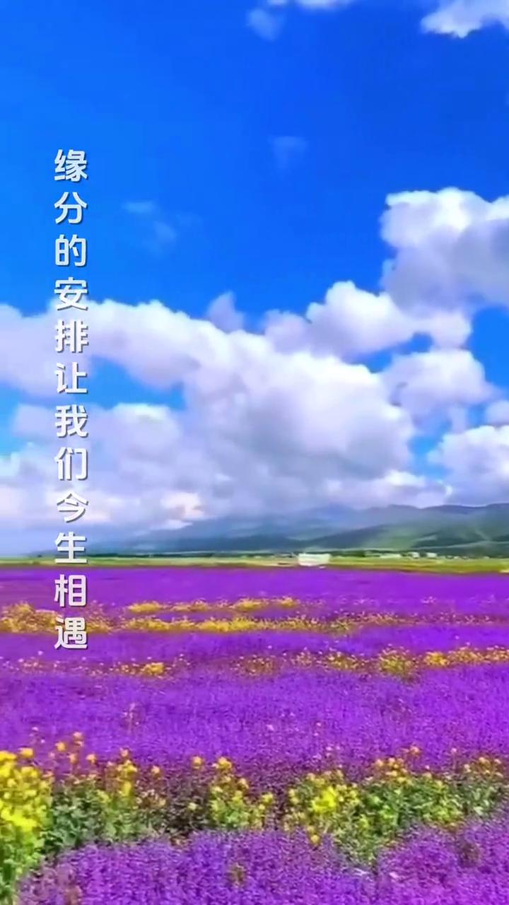 最美的风景。
演唱：马智宇。
制片人：芙蓉传媒。
缘分的安排让我们今生相遇，月老