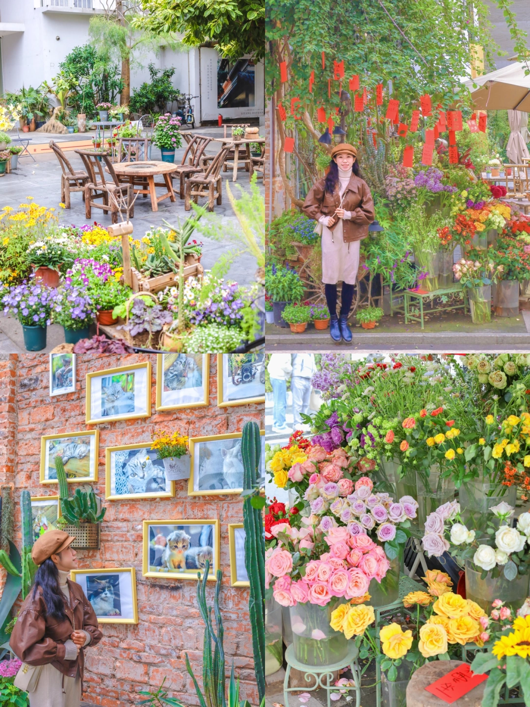去不了云南有风小院🍃就来广州感受慢节奏