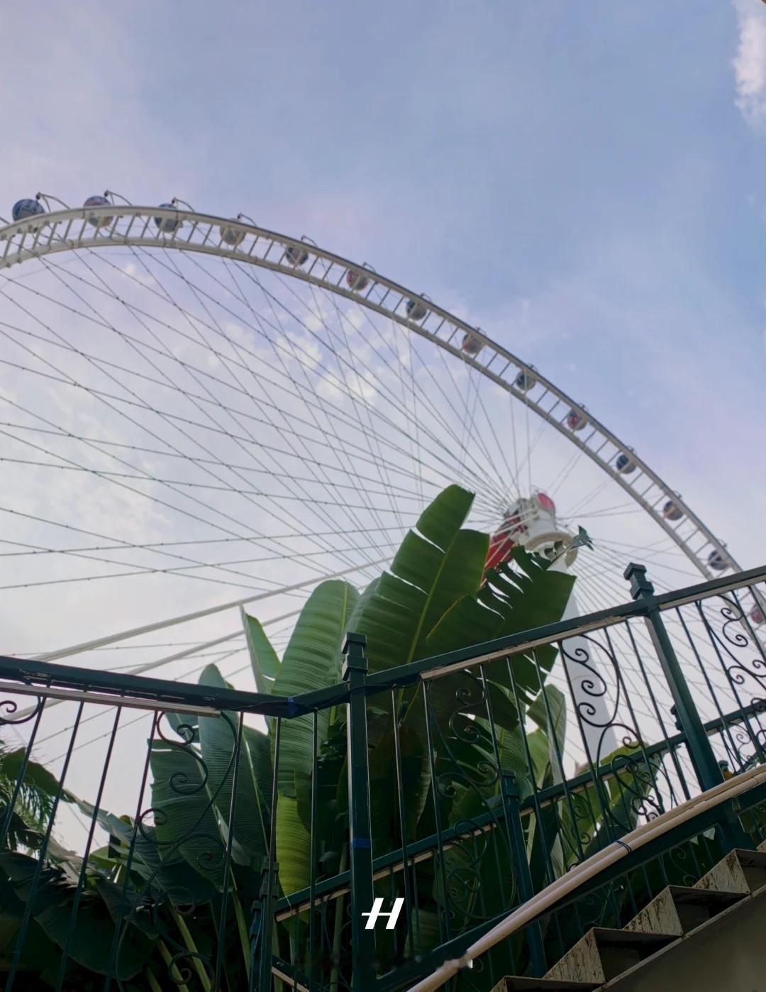 阶梯仰拍，拥抱整片摩天轮
顺着阶梯向上取景，巨型摩天轮压满天空，热带草木增添慵懒