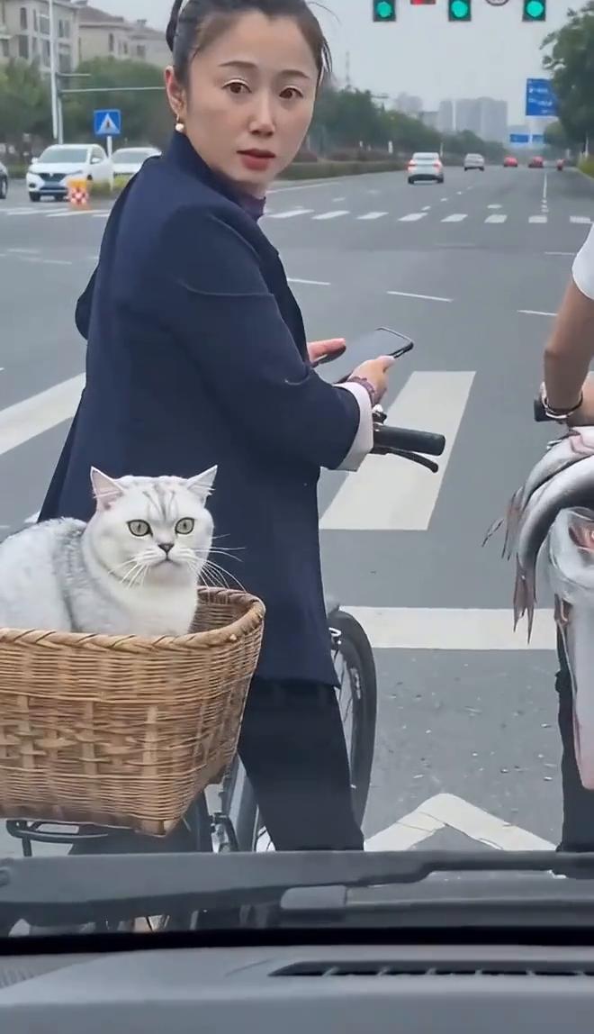 祖宗你干嘛呢？