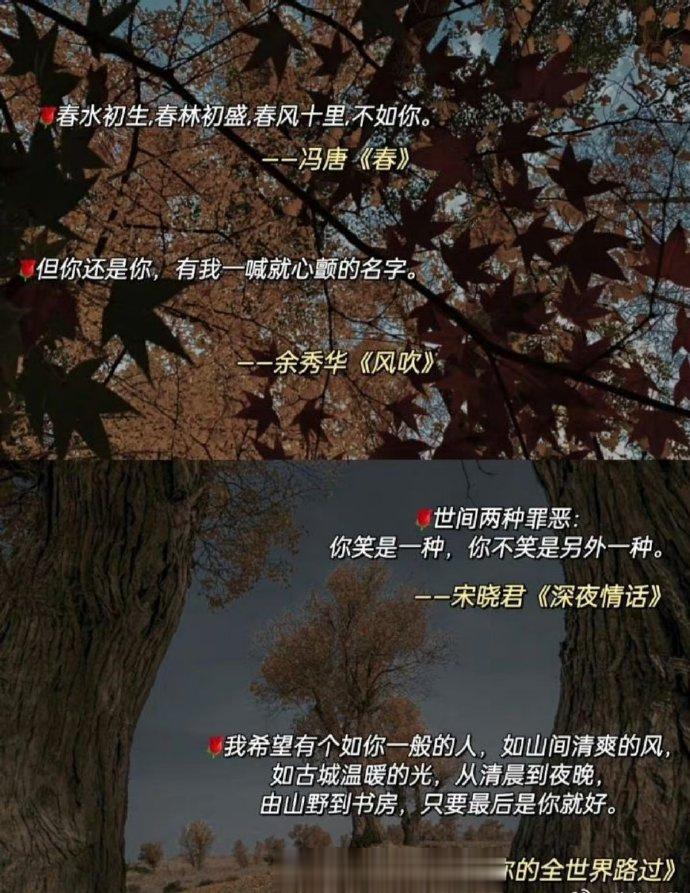 多读书表白时就不会只知道说我爱你 ​ ​​​