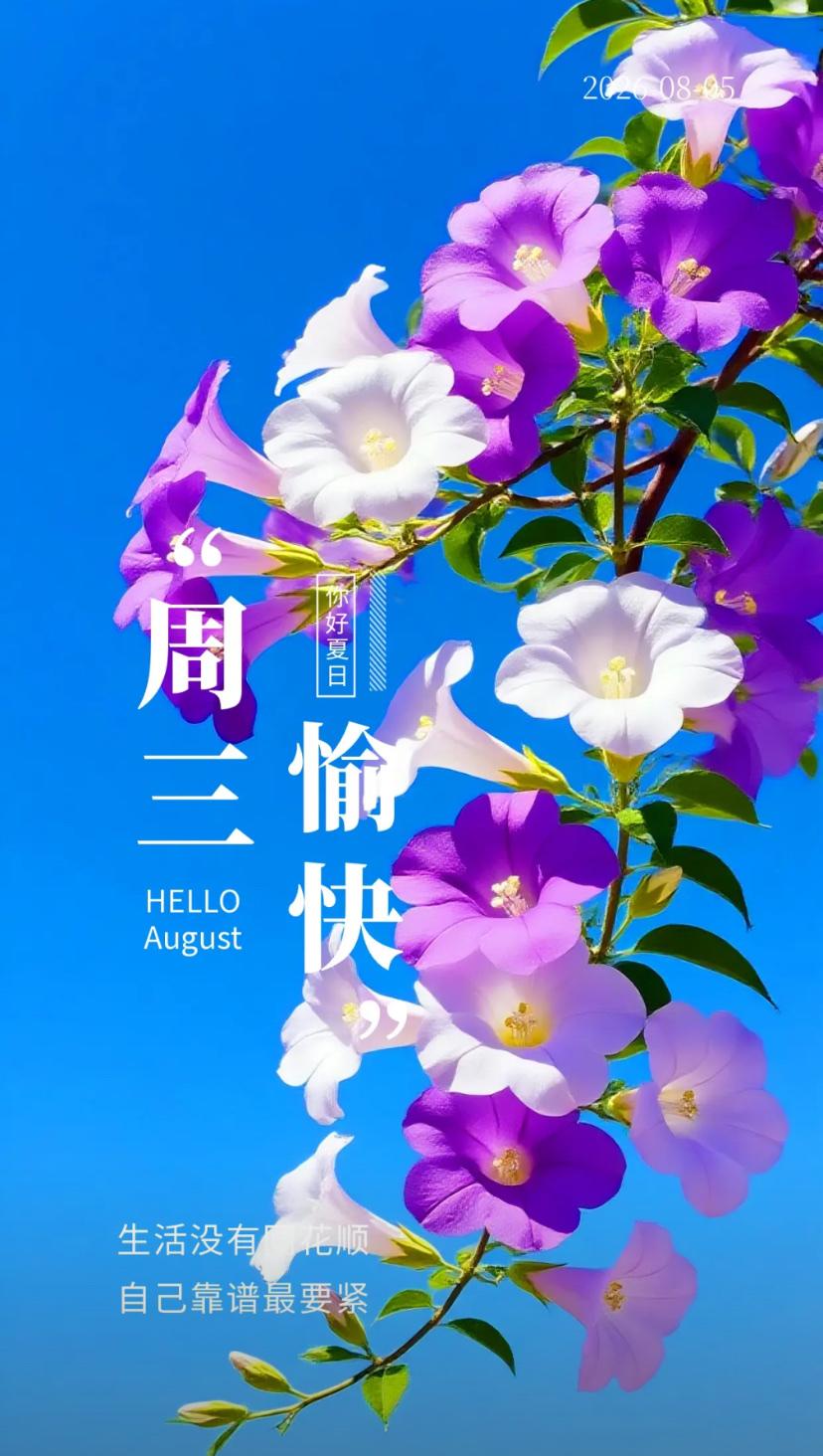 夏晨寄语，晓露清风消暑气，清风和顺伴朝夕。
2026./08.05.
[微风][