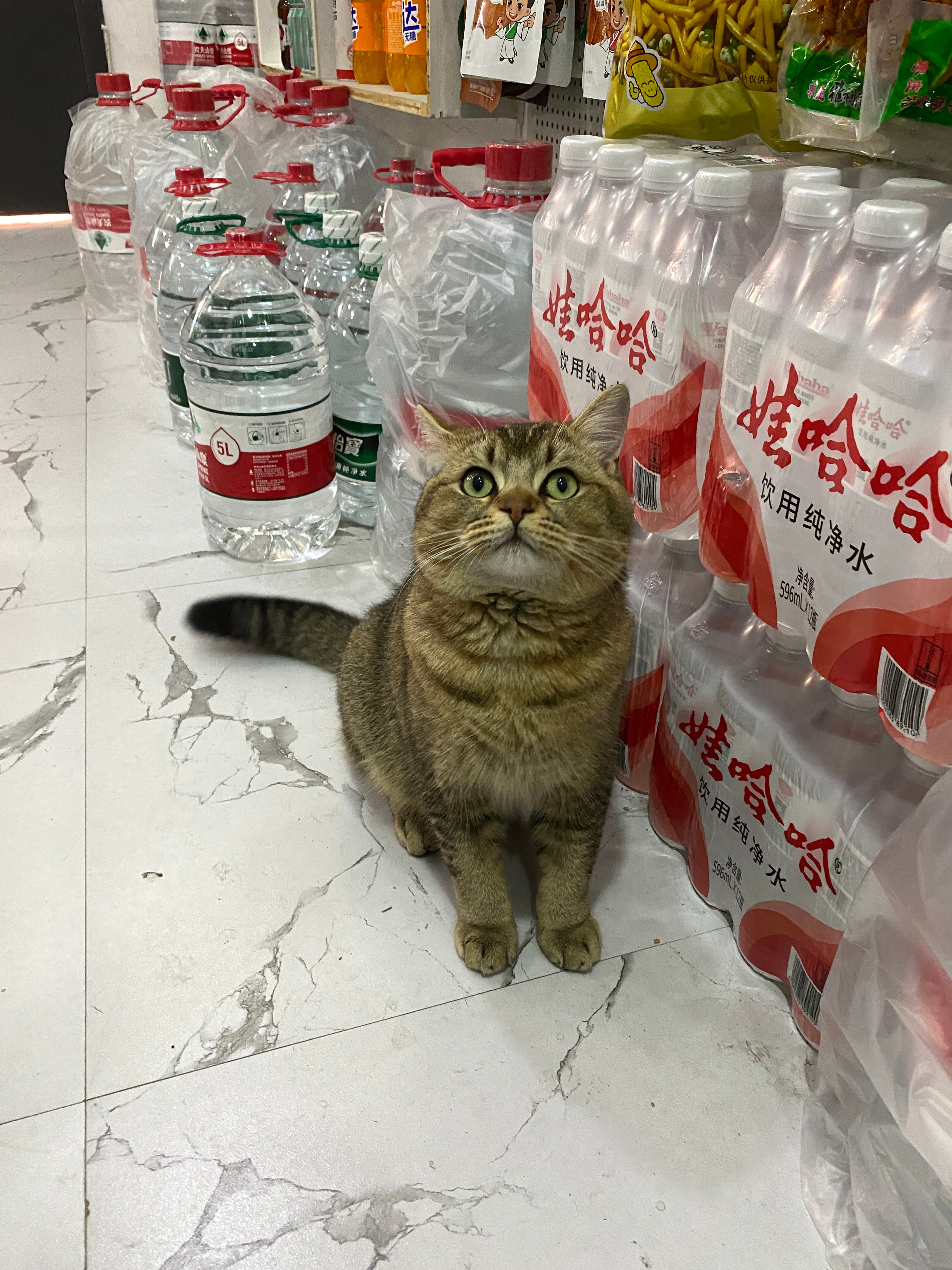 努力努力再努力 