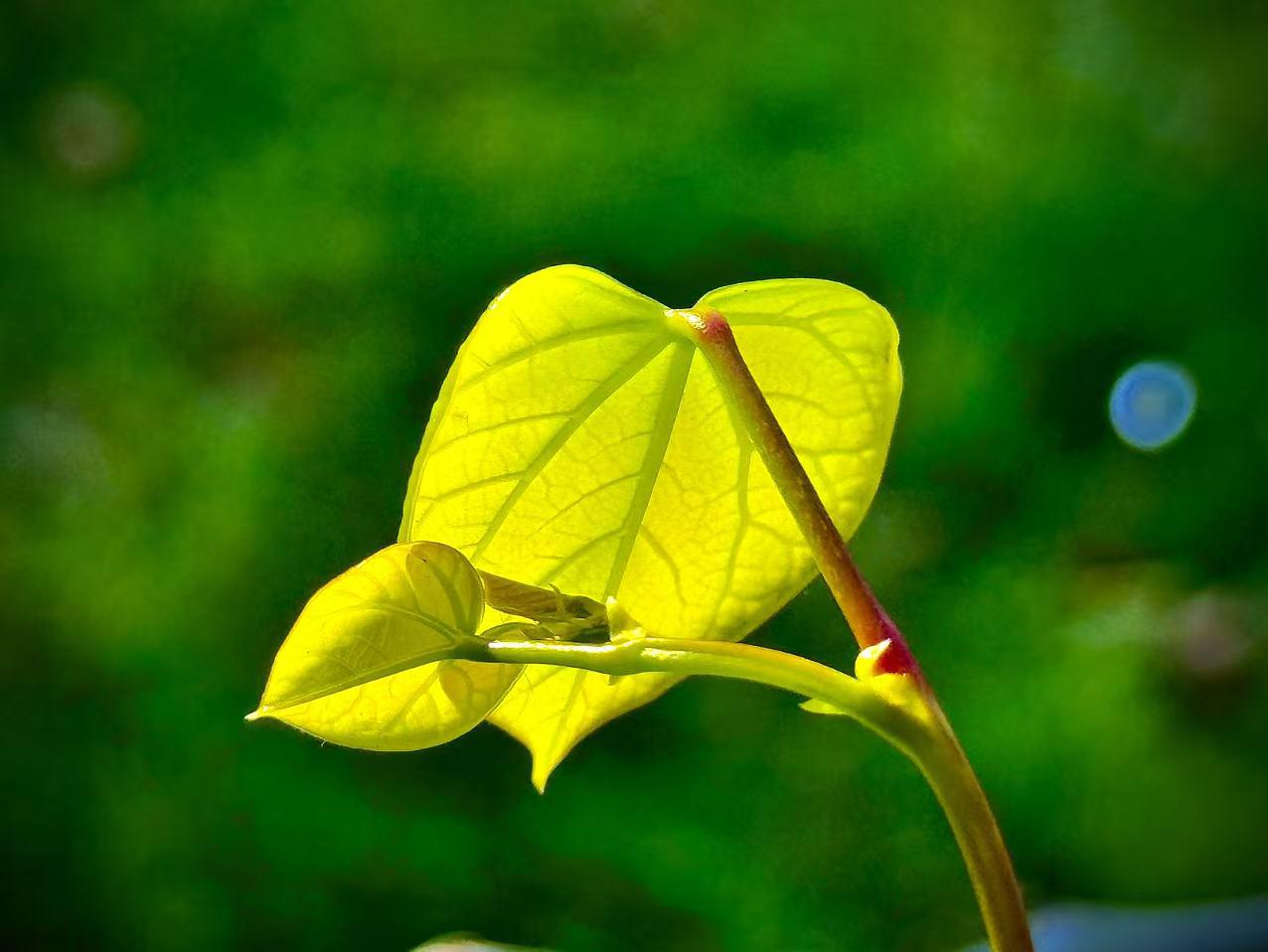 我的今日状态：😁轻松愉快
我这里的天气：☀️晴天
    心甘情愿地活着
  