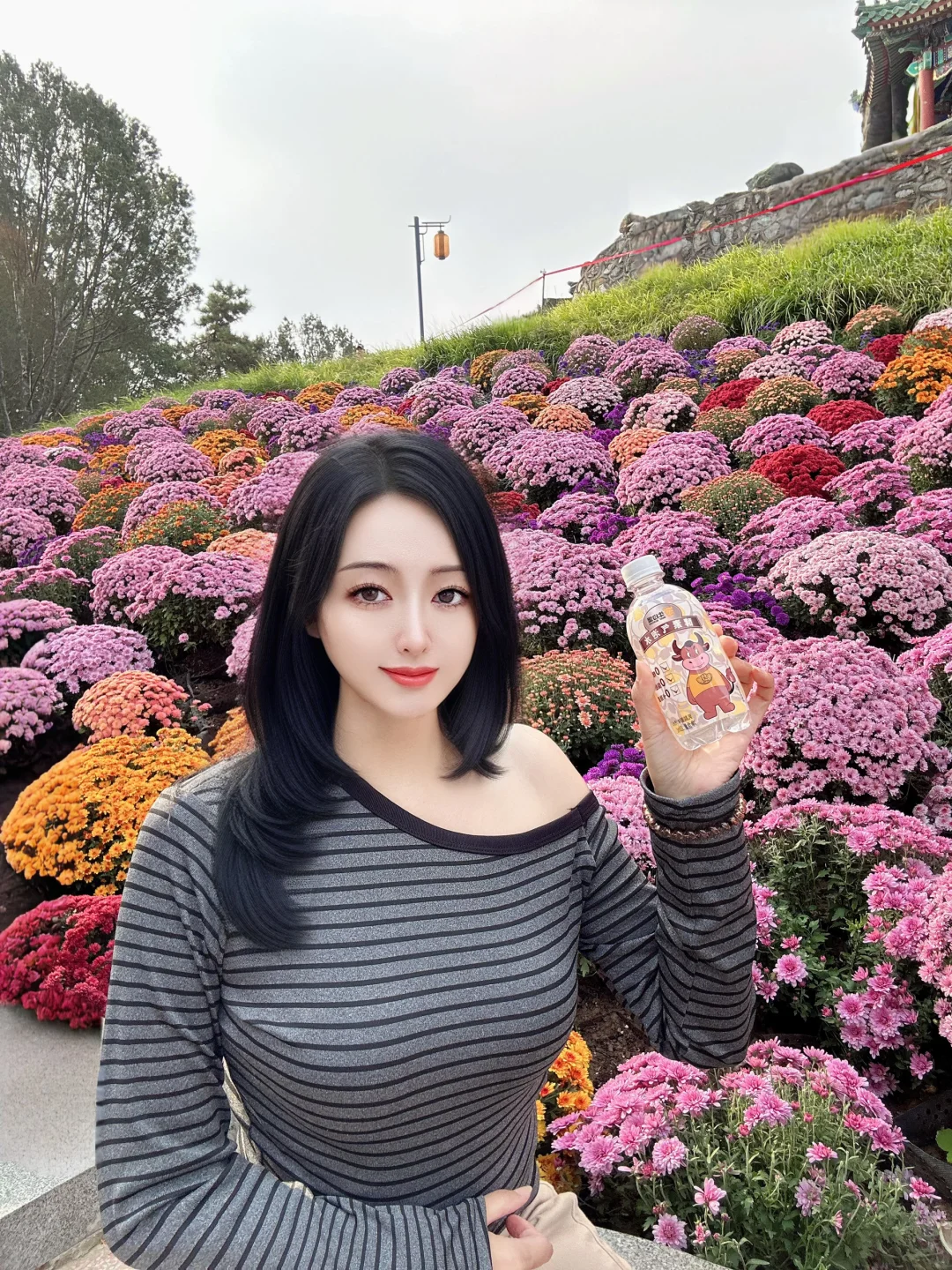 逛日坛公园菊花海，吃牛约堡手作牛肉汉堡🍔