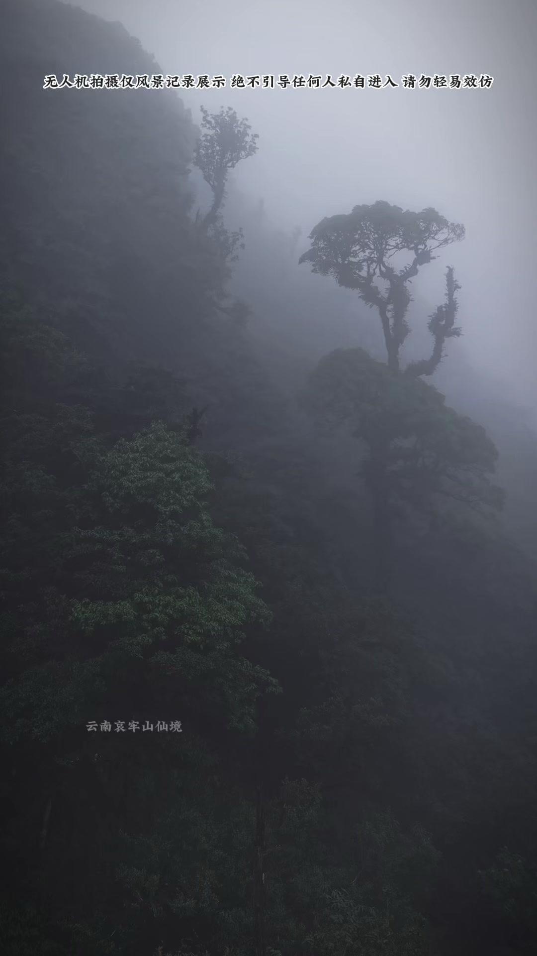 1️⃣无人机起飞前：信心满满，觉得哀牢山美景尽收镜头，冲啊～
2️⃣飞进去才发现