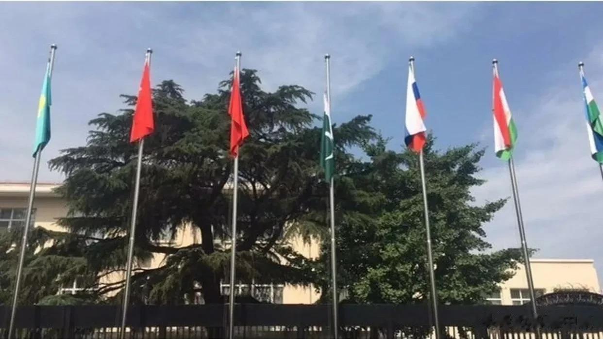 俄常驻上合组织秘书处代表：西方正失去主导地位，世界希望建立公正秩序

来源:俄罗