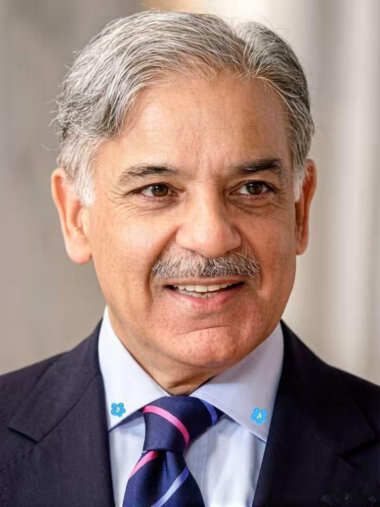 巴基斯坦总理宣布了

2026年4月22日，巴总理夏巴兹发文，呼吁美伊遵守停火、