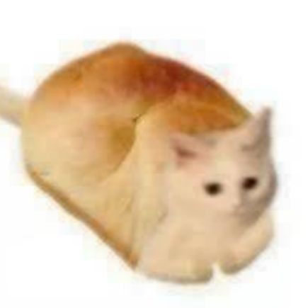 ₊˚ 𝐰𝐞𝐢𝐫𝐝 𝐤𝐢𝐭𝐭𝐞𝐧𝐬搞怪猫猫🐈‍⬛・₊✧ 