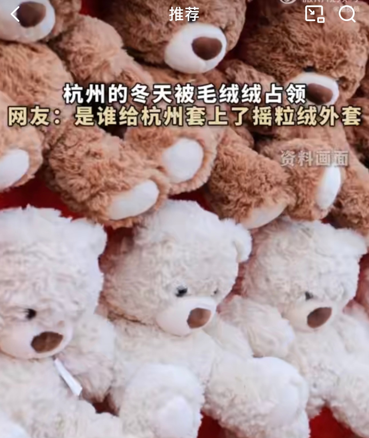 杭州的冬天被毛绒绒占领  是谁给杭州套上了摇粒绒外套 杭州的冬天被毛绒绒包围，这