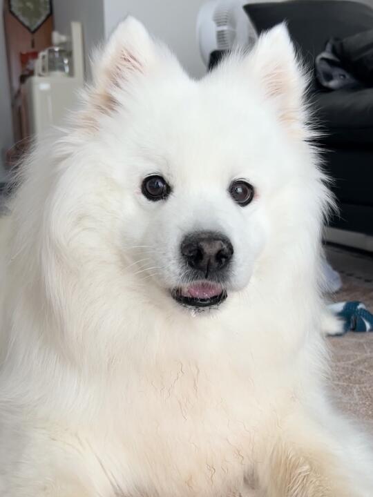 人，你嚎，尼下班了么？