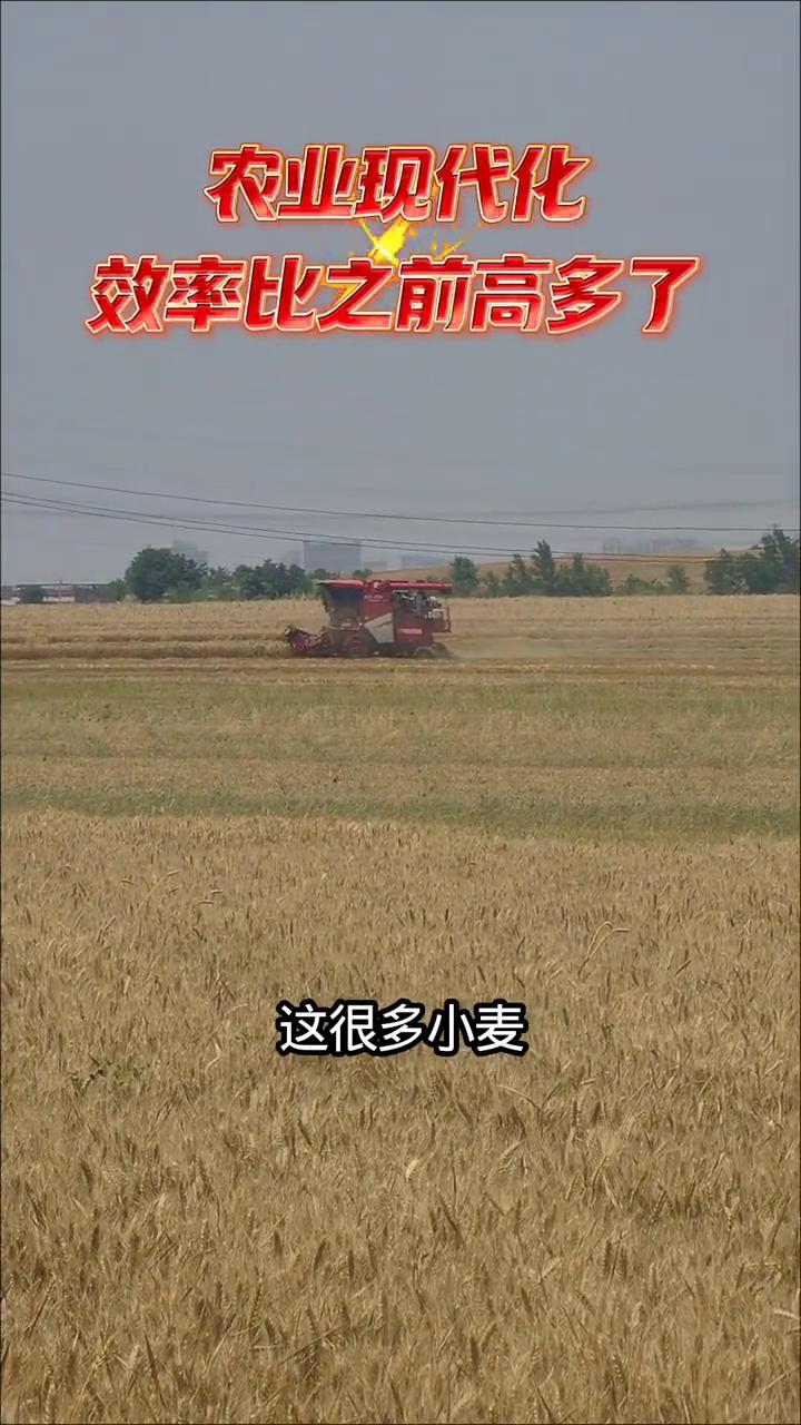 农业现代化效率比之前高多了。
农民师傅辛苦了，忙着收割小麦。现在正值芒种节气，天