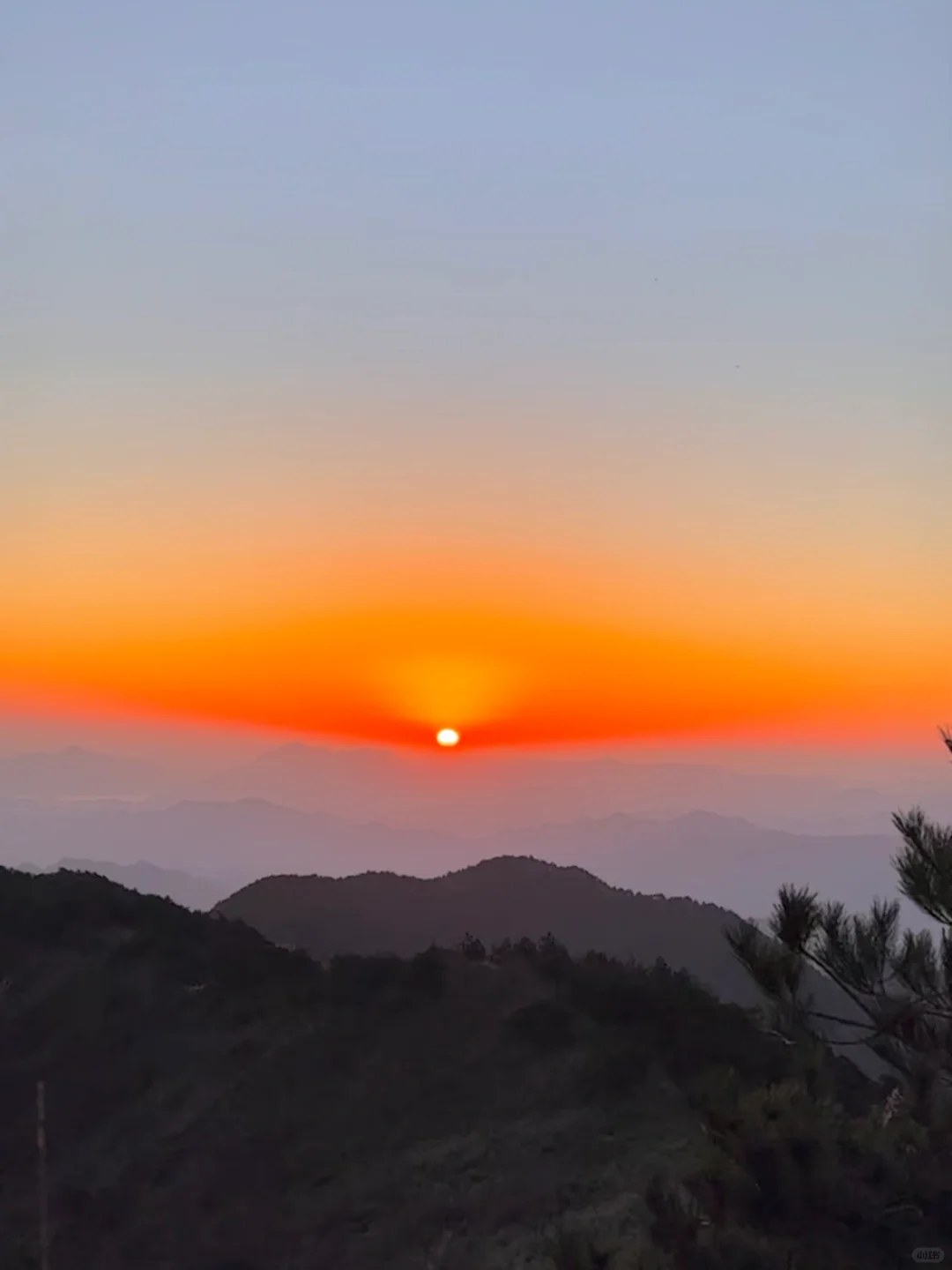 太子尖🌄 把鲜花送给你