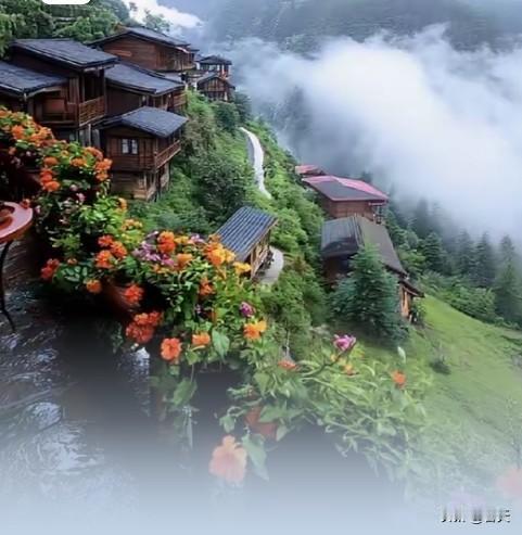 酉阳叠石花谷
 
嶙峋叠石纪寒武，藓覆苔侵岁月赊。
粉黛漫山凝晓雾，傩音穿岫落烟