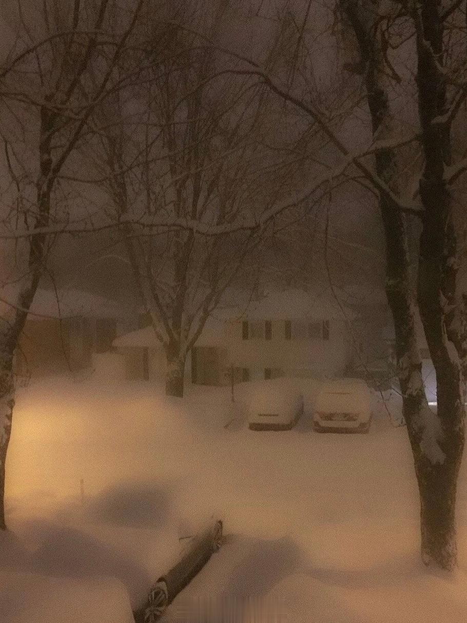 雪好美 美得我想就冷死在这样的冬天 ​​​
