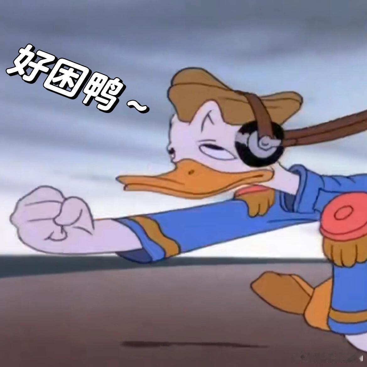 #唐老鸭演我精神状态# 每一张都是我的精神写照 ​​​