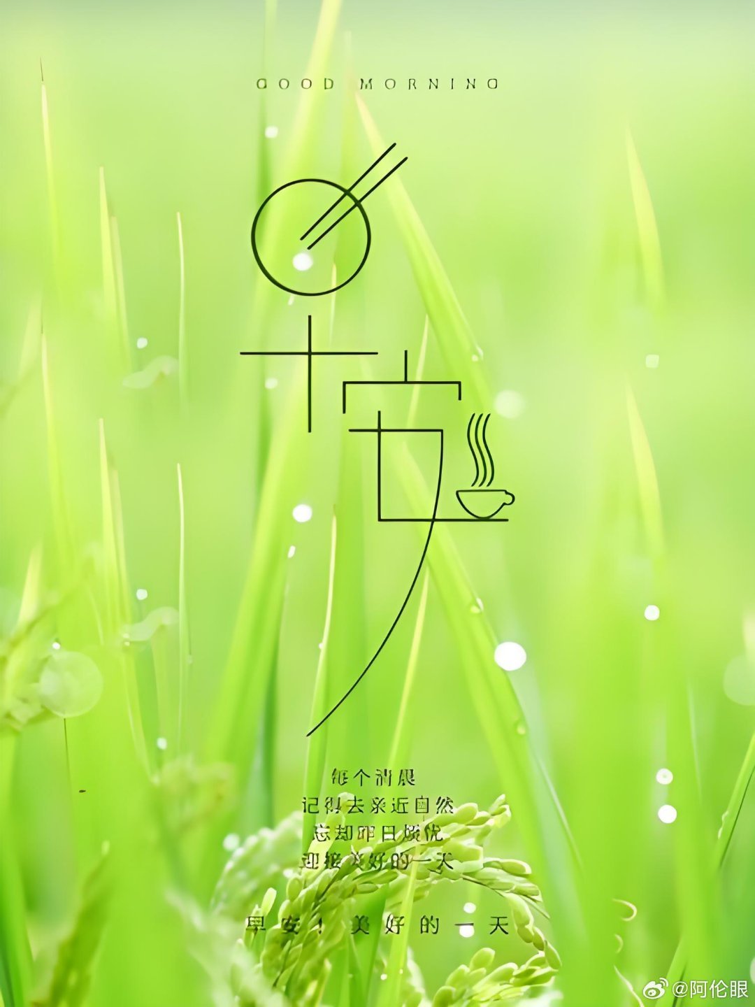 早安 人生不是赛场，无需比较快慢，有人花开早，有人结果迟，但属于自己的季节，总会