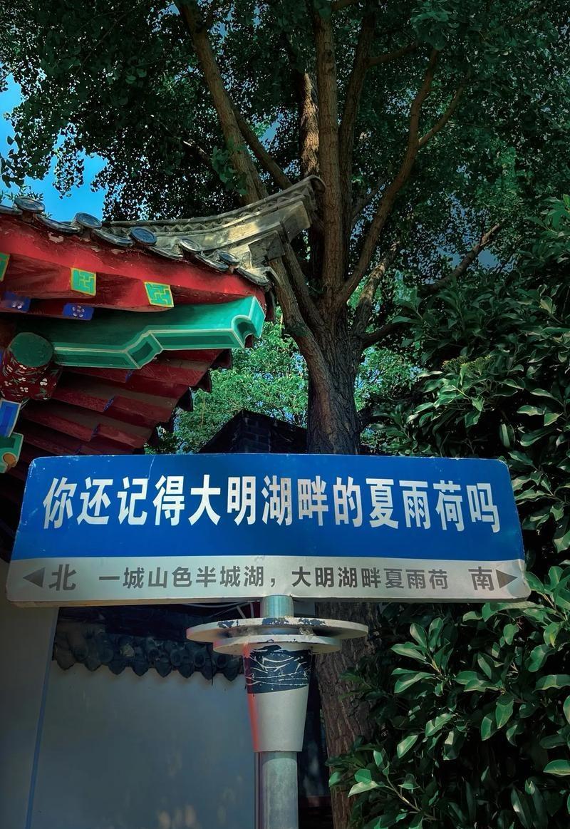 济南文旅肯定觉得很冤枉，大明湖畔夏雨荷这个IP何止十年了。

那么问题来了，为什
