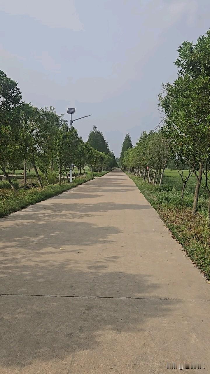 分享一下农村的道路风景现在乡间道路修的都很宽敞，保持的也很干净，悠闲时跑跑步的骑