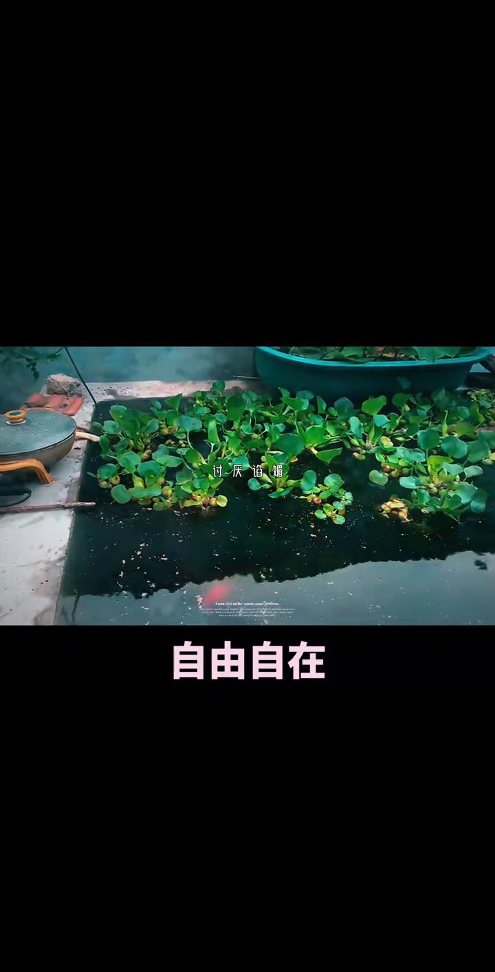自由自在。
我这个人性格独立，不喜欢麻烦别人，比较喜欢自由，会为别人考虑，是真的