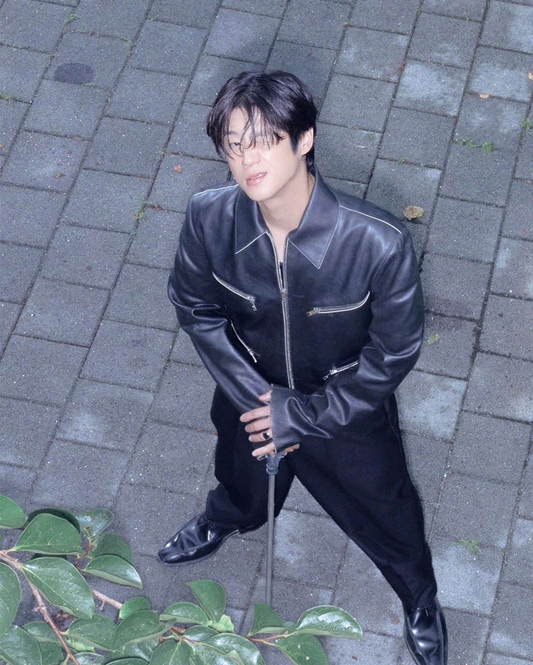 孔晓振郑准元 ELLE画报杀手妈咪