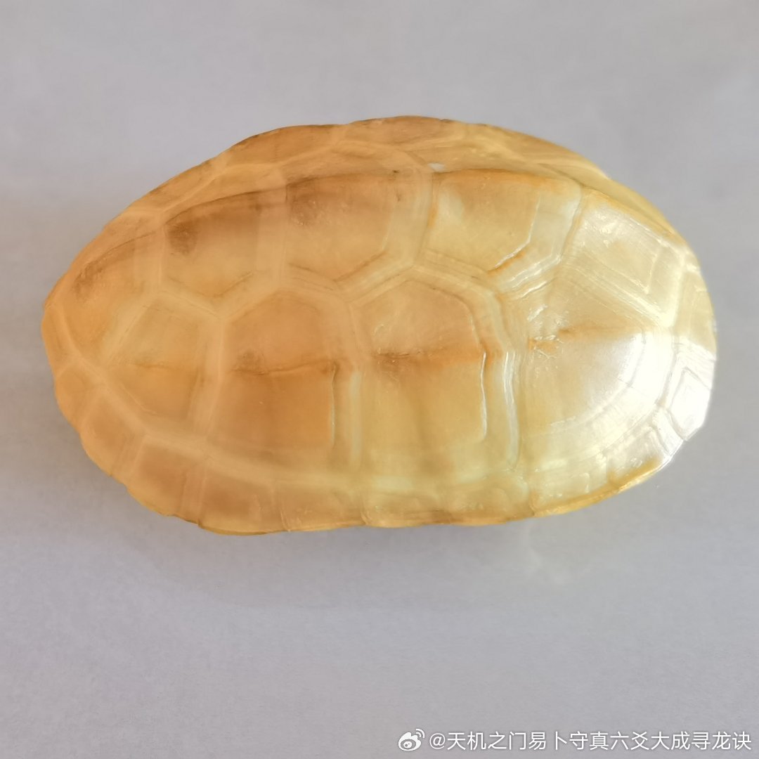 夫妻争吵都是因为金钱的多吗？钱是婚姻吵架的导火索吗？将夫妻吵架全部归因于金钱，是