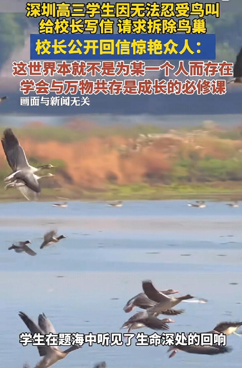 深圳高三学生因为不能忍受窗外的鸟叫，要求学校拆除鸟巢，校长直接亲自回信，给学生上