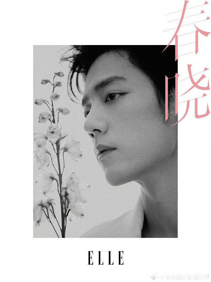 肖战x elle 1月刊封面预热，开年刊好彩头 