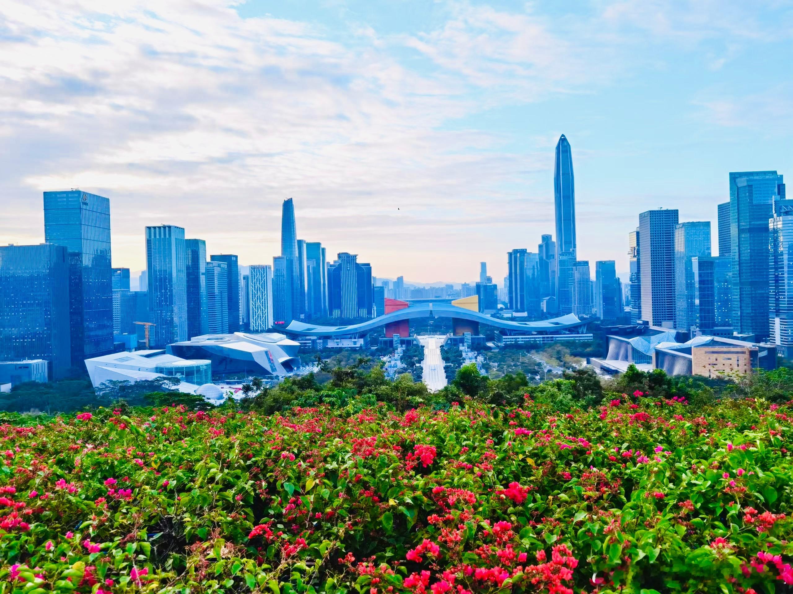 《登莲花山顶》纵目莲花顶，鹏城入画帷。摩天楼作岭，绽蕊棘成帷。霓色浮云近，冬声逐