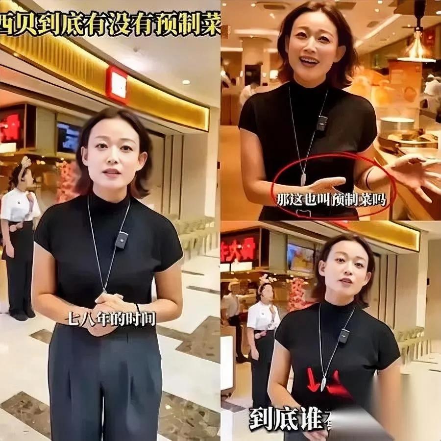 西贝女公关翻车现场！

履历漏洞太扎眼

自称2000年入职，公司2001年才注