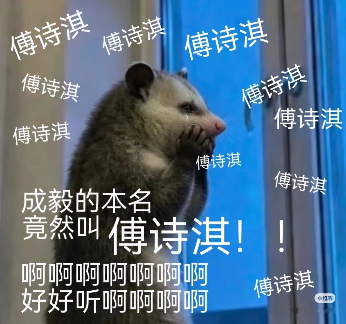 傅诗淇可以跟成毅平番了 我的男神傅诗淇即将正式出道，自带三千万粉丝，后台就是实力