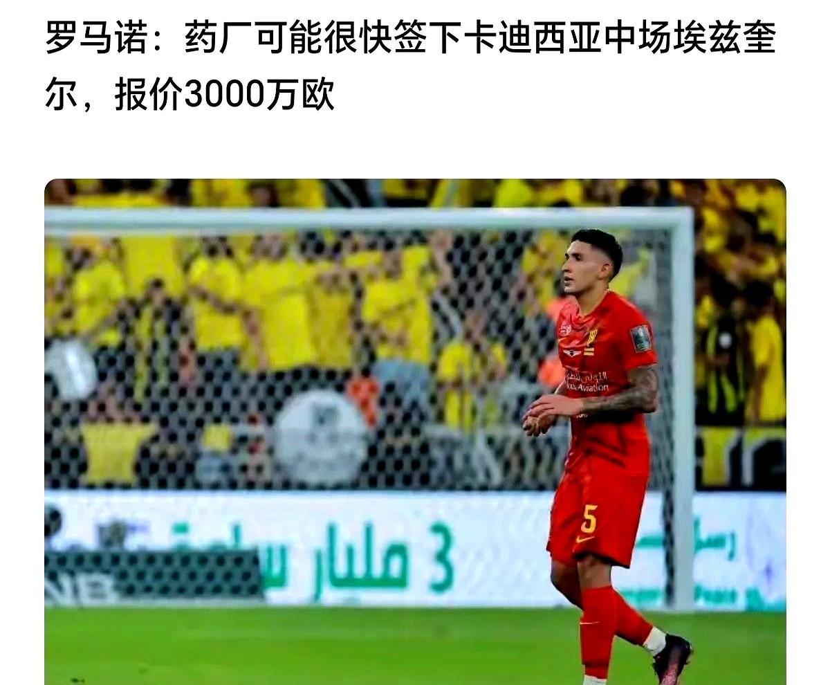 沙特也能淘到宝？

勒沃库森掏3000万欧从沙特带回费尔南德斯，把养老联赛的标签