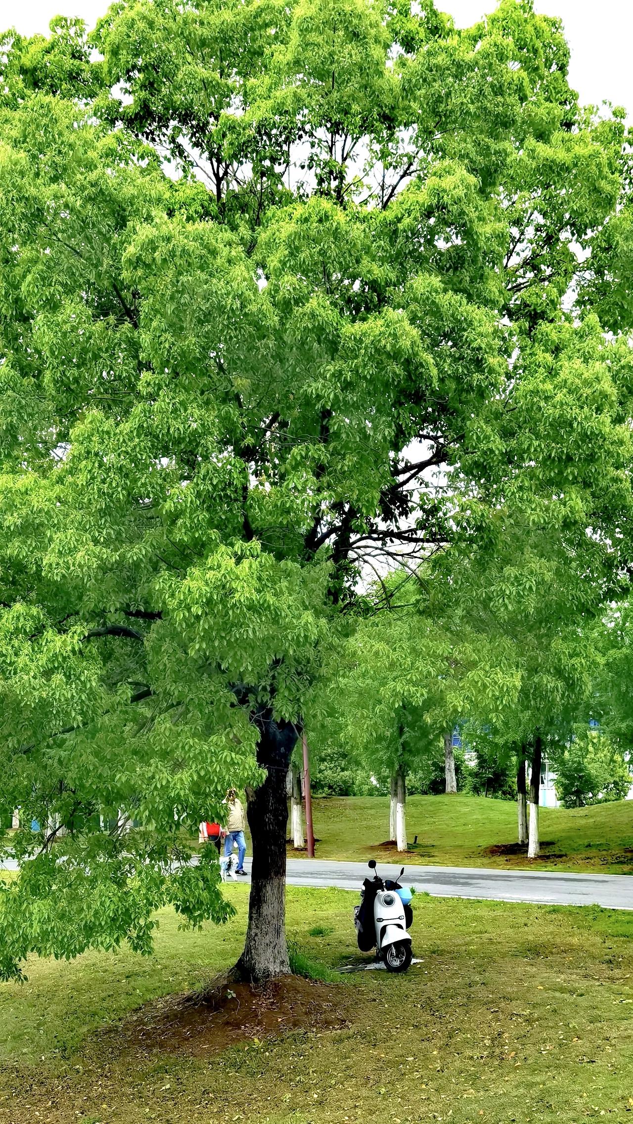 人老了，真别总想着到处折腾。就像我邻居大爷，退休后精力旺盛，天天去爬山、跳广场舞