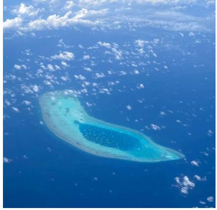 一到了某些时候，这些历史上老牌的“海盗级”国家就露出了本色，比如荷兰，中国断供他