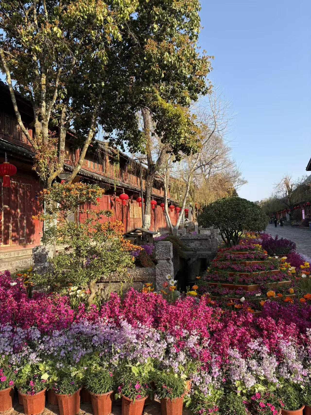 晒图笔记大赛繁花似锦，美丽风景