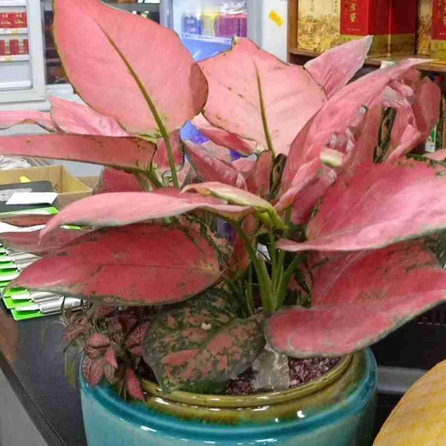 我的今日状态：😁轻松愉快
我这里的天气：🌤️多云